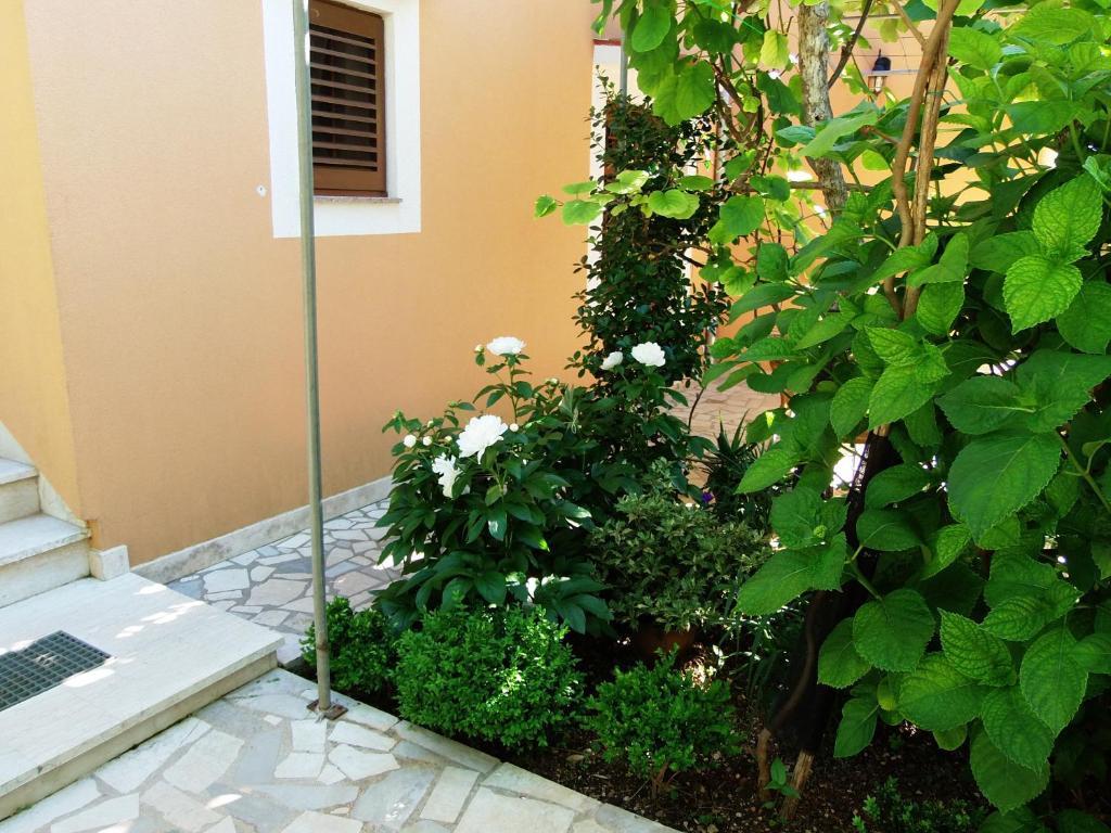 Apartments Beba Mali Losinj Room photo