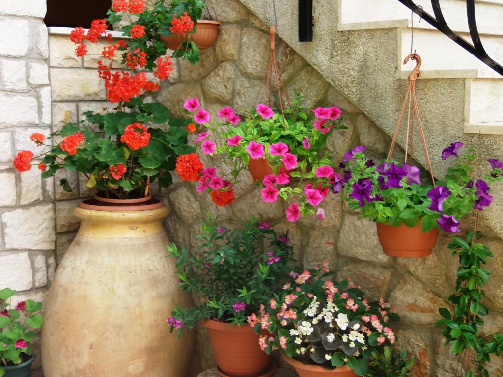 Apartments Beba Mali Losinj Room photo