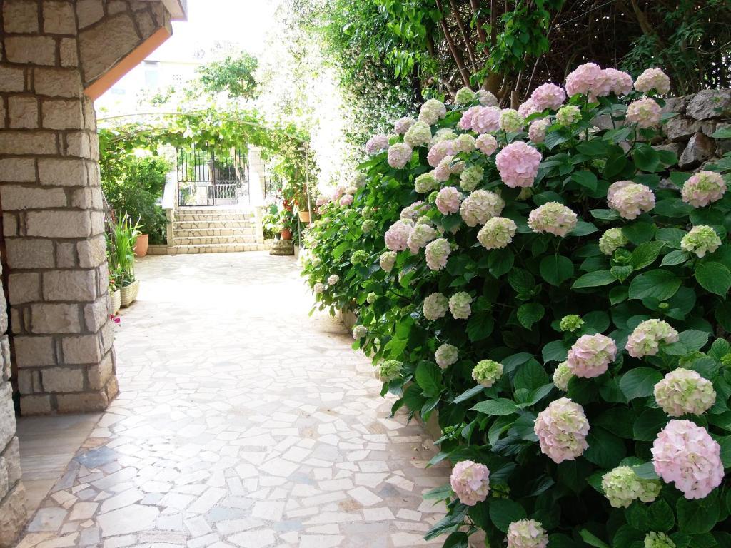 Apartments Beba Mali Losinj Room photo
